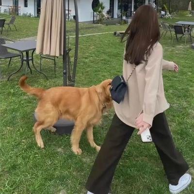 难以破解